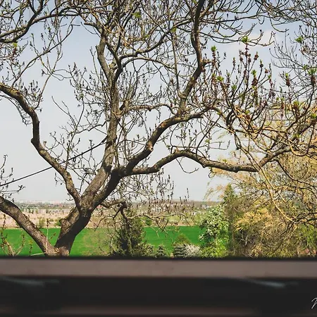 Bed & Breakfast Palac Rajkowo Szczecin