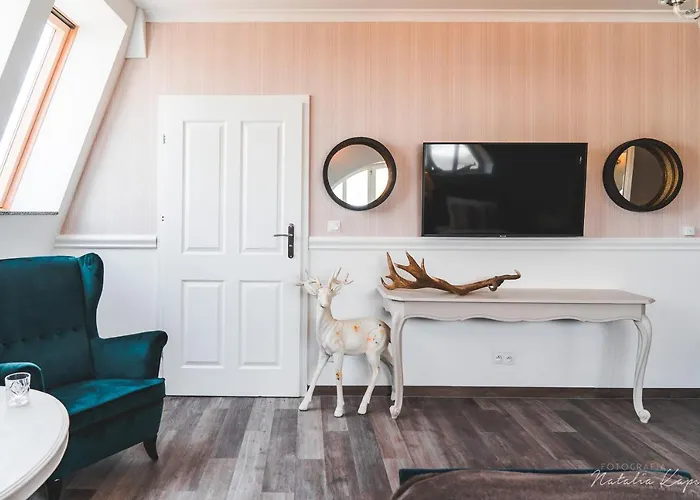 Bed & Breakfast Palac Rajkowo 4*