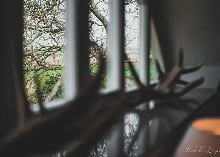 Nocleg ze śniadaniem Palac Rajkowo 4*