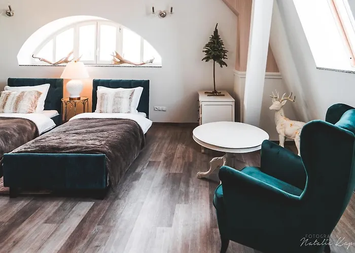 Bed & Breakfast Palac Rajkowo