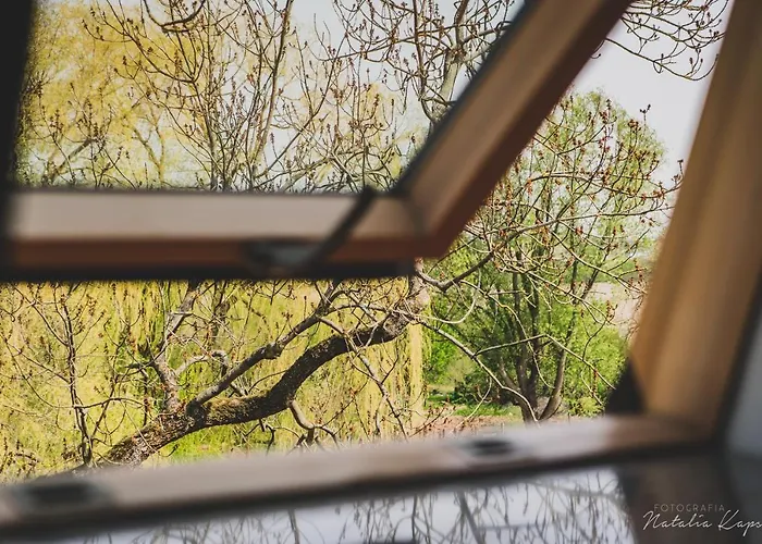 Bed & Breakfast Palac Rajkowo 4*