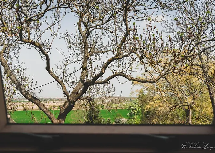 Bed & Breakfast Palac Rajkowo Szczecin